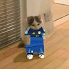 kimbo_2306