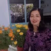 maivan02_
