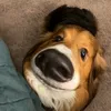 dvhiu_25