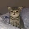 11_not_alone_