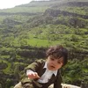 sh4de_gull
