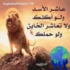 majdaoukili