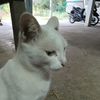 junior_6687