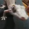 sl33pd3m0nnn