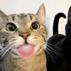 cienkibolo1
