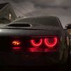 dima_plai45