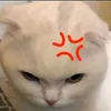 lnz_ey.0