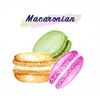 macaronian.sa