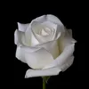 sunshinewhiterose