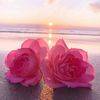 kind_hearted3