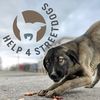 help4streetdogs