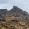 qjacen