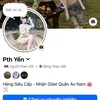 pthy_29