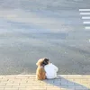 jj_6yo