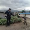 stalinjc90yz