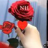 hbn421