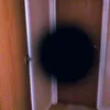 the_sentient_void