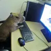 facu010001