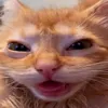 wieeewuuuu