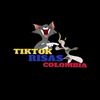 tiktokrisaz
