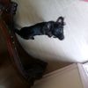 tracy_3907