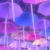 kirakira__kk