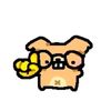 carlolz__