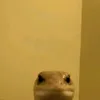 ..tzxd