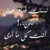 boameer1