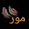 afg009303