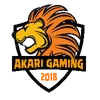 Akari Gaming