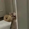 lanauehrbsyeb