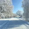 long88.cz