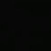 userr_gull