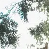 han88099