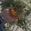 zainb3_m