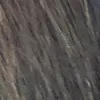 hoangpv02