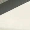 bddyhlly