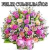 gueniachacon