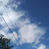 acelll.cel_