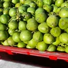 atacadaodococo