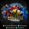 budi_bob_betta