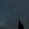 anita._.greco