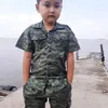 tohoanghai2