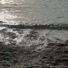 charly_290610