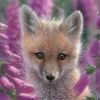 foxtrie_nightshade
