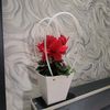 1_dilara_2