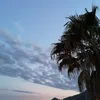 marinaanastasi0