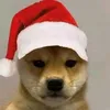 tinaduarte25