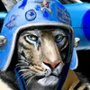 NiceBlueTiger